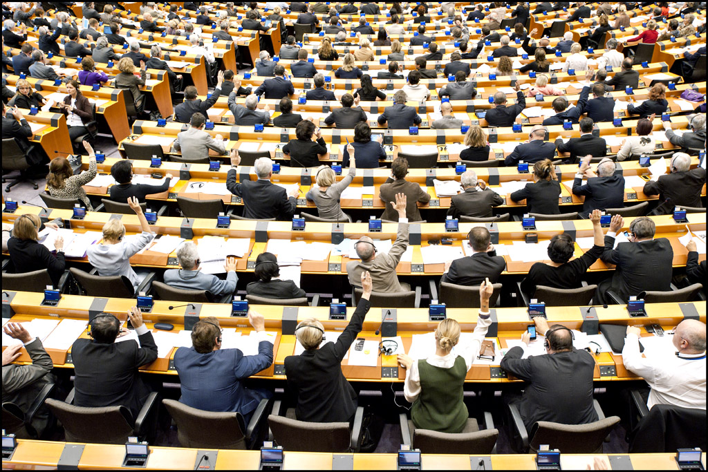 MEPs: Your voice in the European Union