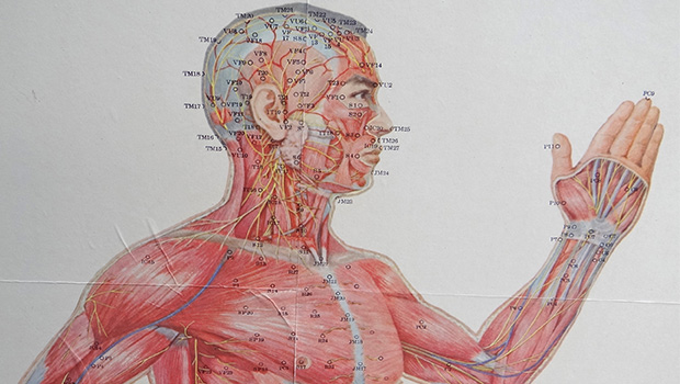 Traditional Chinese Medicine: Rebalance your Qi with Acupuncture