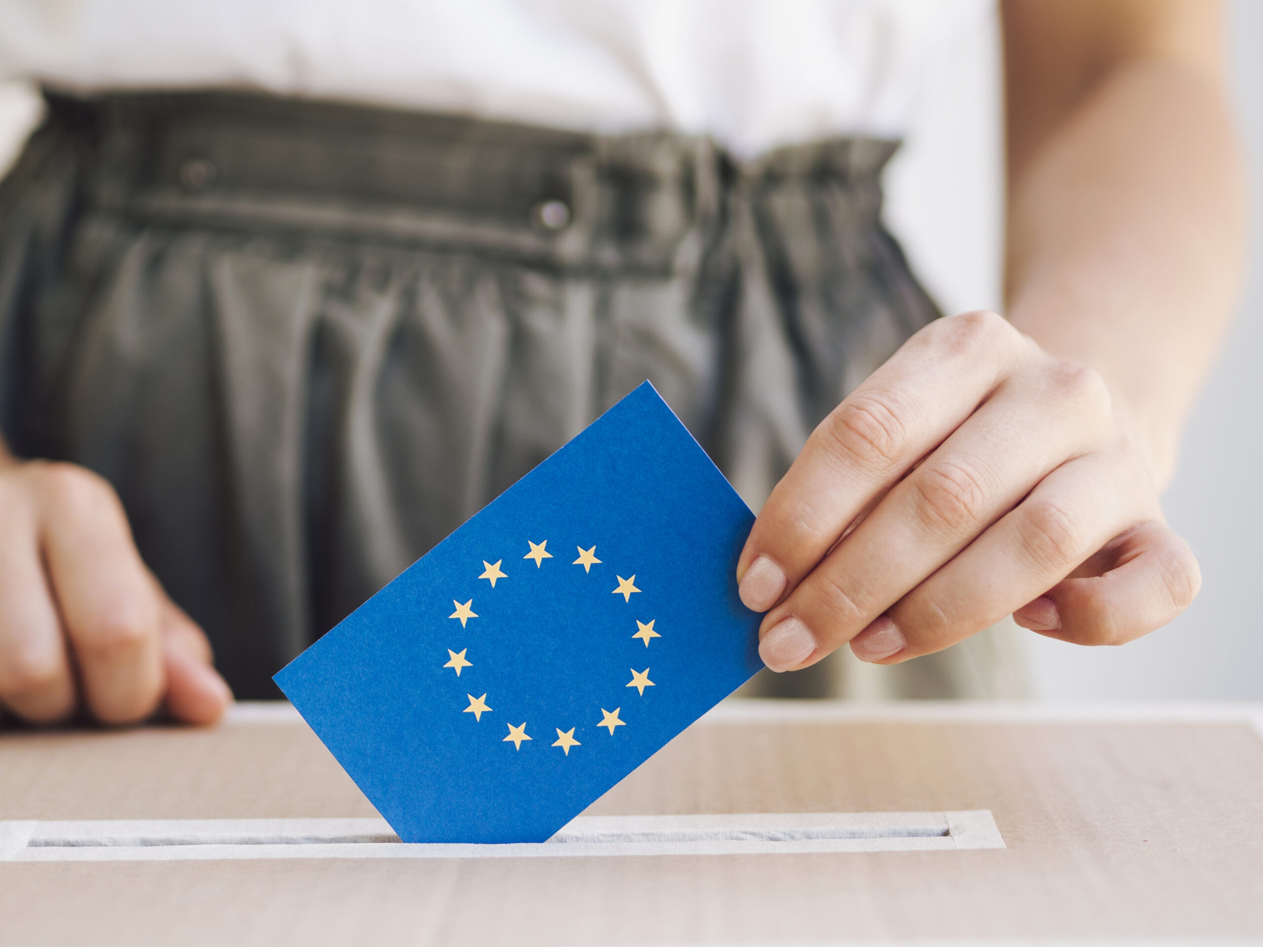 From Migration to Participation: What Are the Key Issues for Young People in the EU Elections?